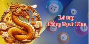 Lô top rồng bạch kim